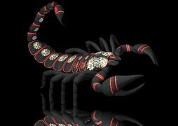 Image result for Scorpion Desktop Backgrounds