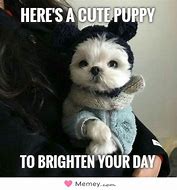 Image result for Cute Memes to Brighten Your Day