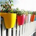 Image result for Fence Mounted Planter