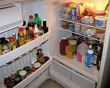 Image result for Cabinet Covered Refrigerator