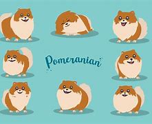 Image result for Pomeranian Dog Cartoon