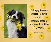 Image result for Happy Thoughts Animals