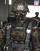Image result for U.S. Army Paratrooper