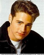 Image result for Who Played Brandon On 90210