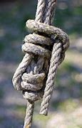 Image result for Rope Hanging Vertically