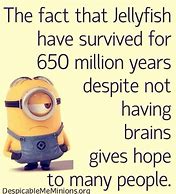 Image result for Funny Life Pics