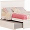 Image result for Couch Trundle Bed