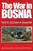 Image result for Bosnia during the Bosnian War