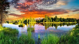 Image result for Relaxing Piano Music: Sleep Music, nature and birds Sounds, Relaxing Music, Meditation Music