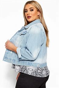 Image result for Plus Size Cropped Jackets