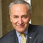 Image result for Chuck Schumer Casual Dress