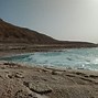 Image result for Dead Sea Fish