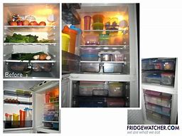 Image result for Fridge Container