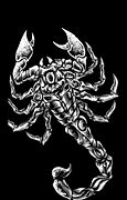 Image result for Crow Sting Scorpion Logo
