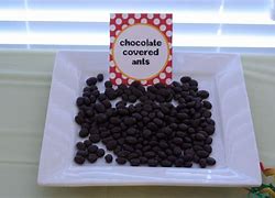 Image result for Chocolate Covered Ants