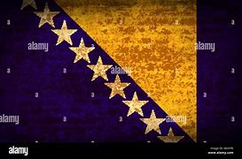Image result for Bosnian Flag