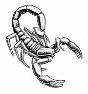 Image result for Art Clip Scorpion