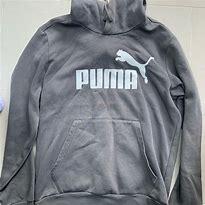 Image result for Grey Puma Hoodie Price
