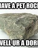 Image result for Pet Rock Meme