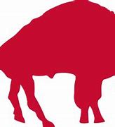 Image result for Buffalo Bills Apparel