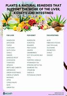 Image result for Ways to Detox Your Body