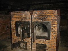 Image result for Wall Ovens Electric 30