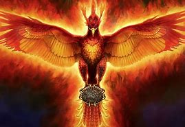 Image result for Awesome Phoenix