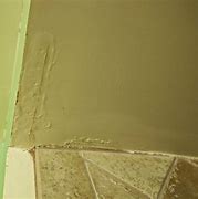 Image result for Mold On Bathroom Ceiling