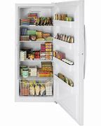 Image result for Stand Up Freezer GE