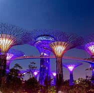 Image result for Singapore Sightseeing