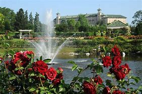 Image result for Rose Garden Attraction