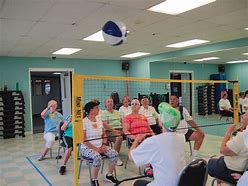 Image result for Chair Volleyball for Senior Citizens