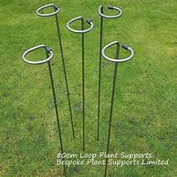 Image result for Metal Half Round Plant Supports