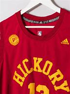 Image result for Pacers Hickory Jersey S