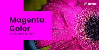 Image result for Jamie Donnelly as Magenta and the Usherette