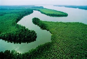 Image result for images niger river