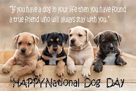 Image result for Happy Dog Day