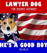 Image result for Legal Dog Meme