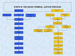 Image result for Criminal Justice System Flowchart