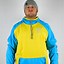 Image result for Ice Bear Hoodie