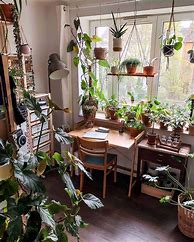 Image result for Decorating with Hanging Plants