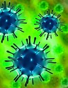 Image result for Highly Pathogenic Avian Influenza