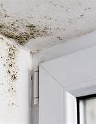 Image result for Odor Removal Mold