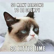 Image result for Best Grumpy Cat Memes Funny