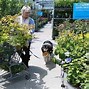 Image result for Pet Store Locator