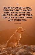 Image result for Dogs Are Best Friends Quotes