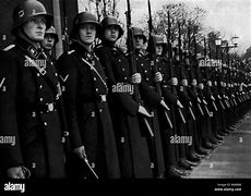 Image result for Schutzstaffel Waffen SS