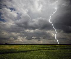 Image result for Greased Lightning Saying