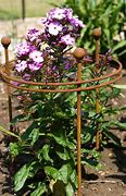 Image result for House Plant Supports