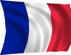 Image result for Free France Flag WW2